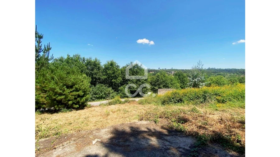 Terreno para Venda em Couto de Baixo e Couto de Cima Foto 8