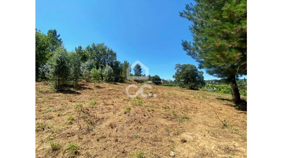 Terreno para Venda em Couto de Baixo e Couto de Cima Foto 11