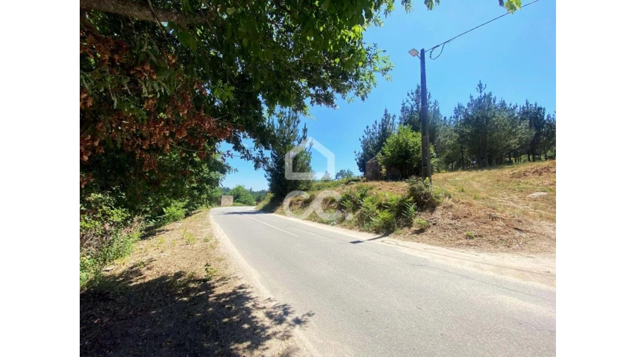 Terreno para Venda em Couto de Baixo e Couto de Cima Foto 2