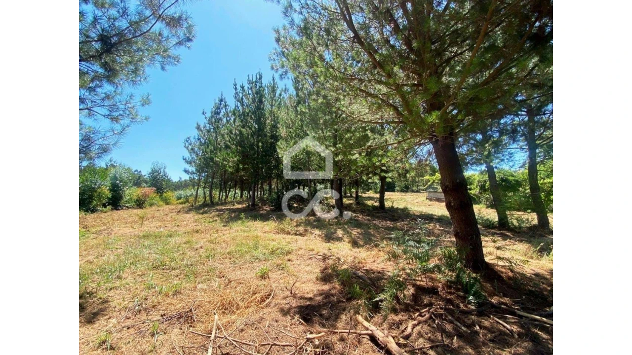 Terreno para Venda em Couto de Baixo e Couto de Cima Foto 9
