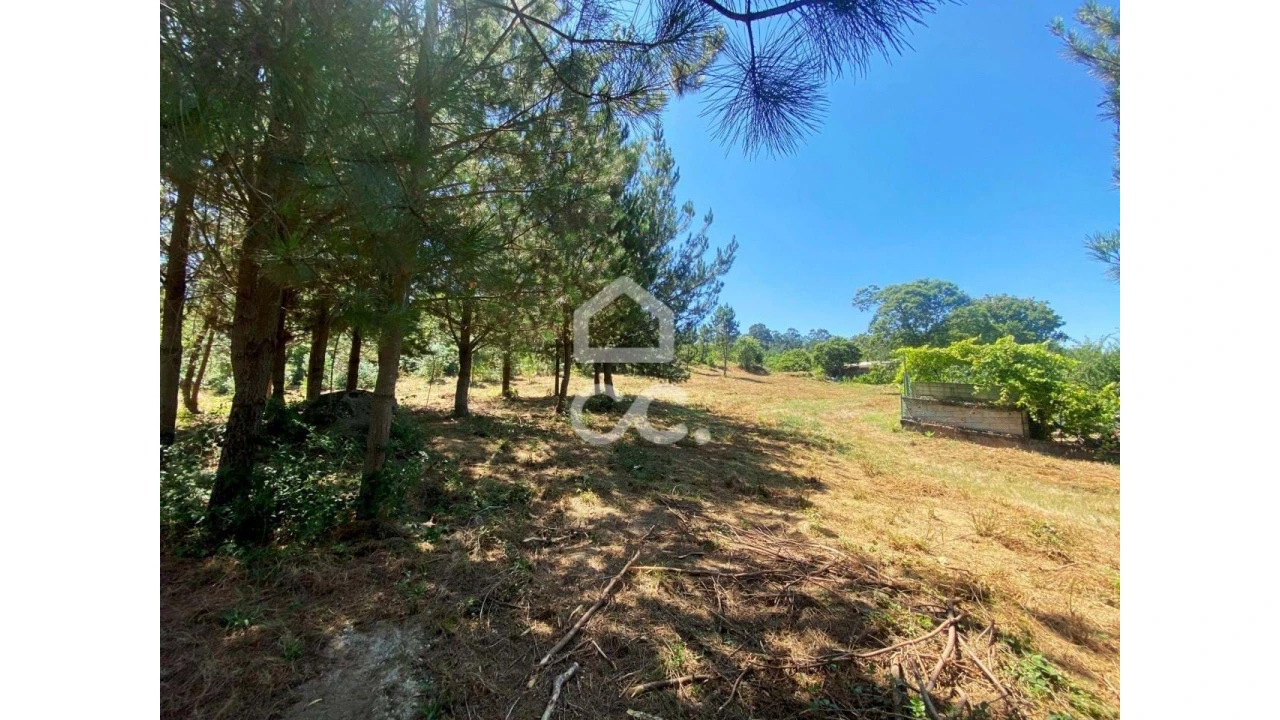 Terreno para Venda em Couto de Baixo e Couto de Cima Foto 10