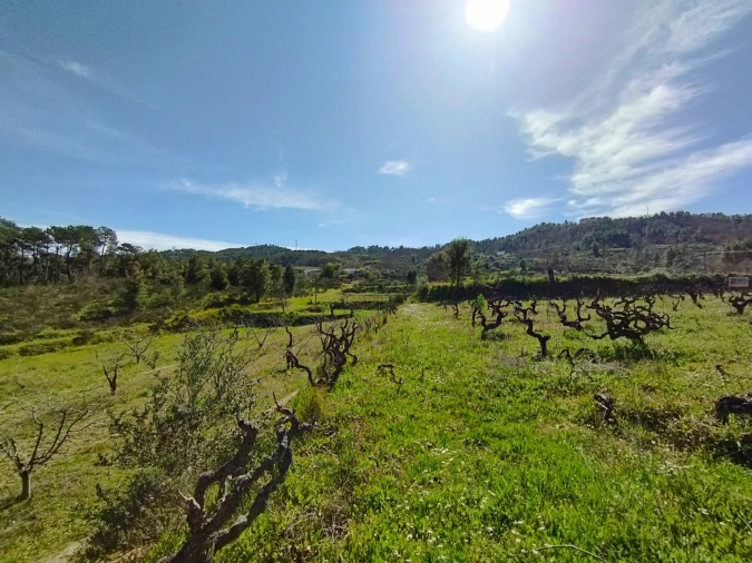 Quinta T0 para Venda em Ferro Foto 9