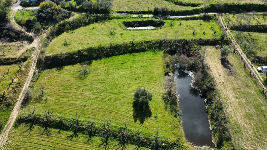 Quinta T0 para Venda em Ferro Foto 4