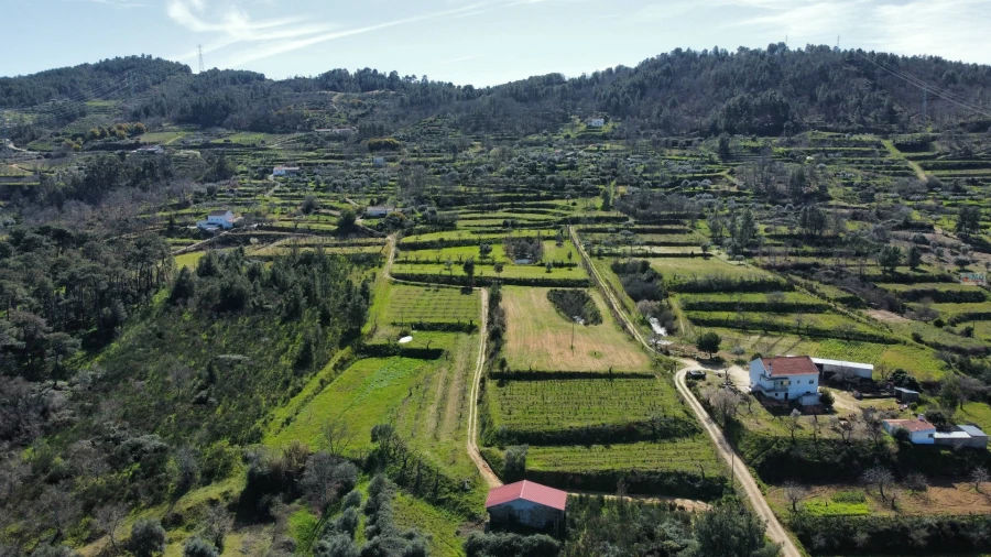 Quinta T0 para Venda em Ferro Foto 2