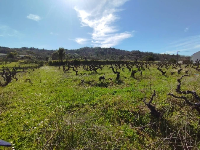 Quinta T0 para Venda em Ferro Foto 8