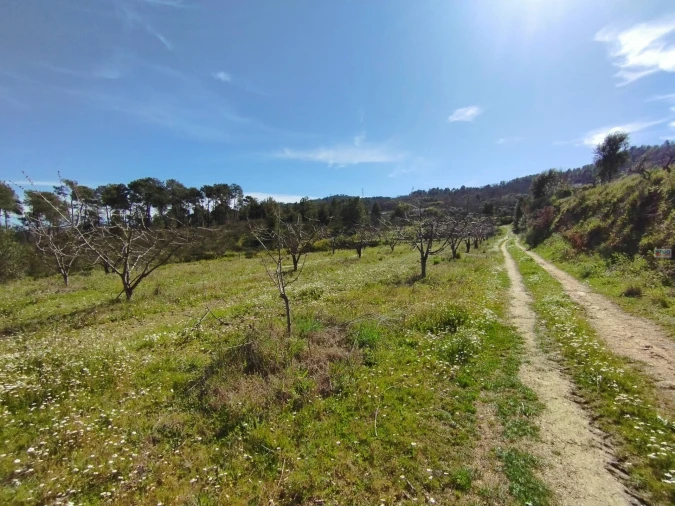 Quinta T0 para Venda em Ferro Foto 10