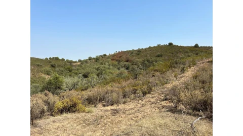 Terreno para Venda em Alcoutim e Pereiro