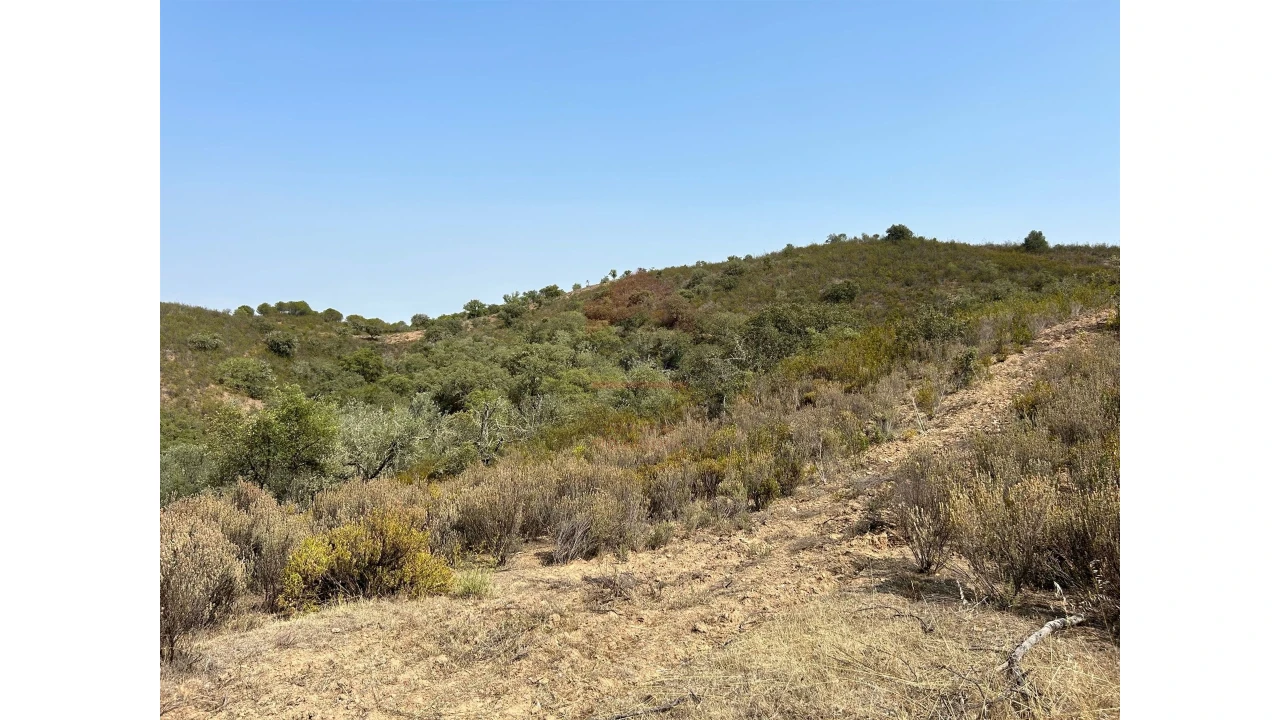 Terreno para Venda em Alcoutim e Pereiro Foto 5