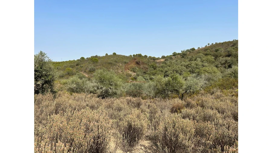 Terreno para Venda em Alcoutim e Pereiro Foto 4