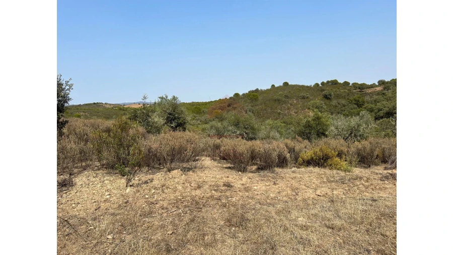 Terreno para Venda em Alcoutim e Pereiro Foto 3