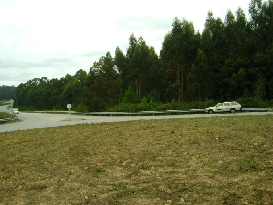 Terreno Agricola ou Rústico para Venda em Arcozelo Foto 4