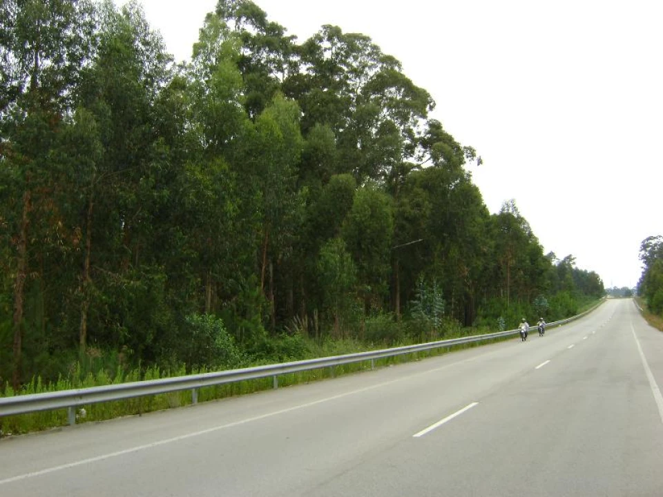 Terreno Agricola ou Rústico para Venda em Arcozelo Foto 5