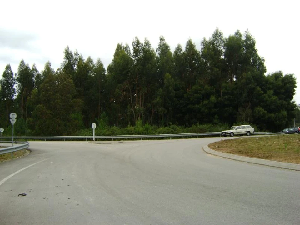 Terreno Agricola ou Rústico para Venda em Arcozelo Foto 3