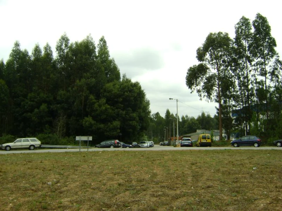 Terreno Agricola ou Rústico para Venda em Arcozelo Foto 6