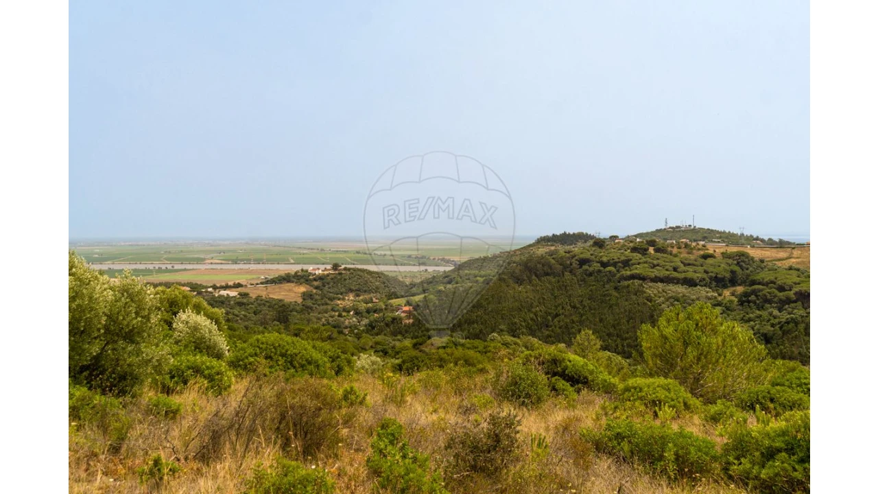 Quinta T0 para Venda em Vila Franca de Xira Foto 1
