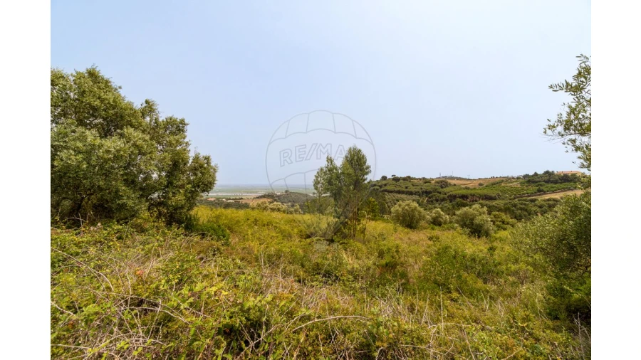 Quinta T0 para Venda em Vila Franca de Xira Foto 13