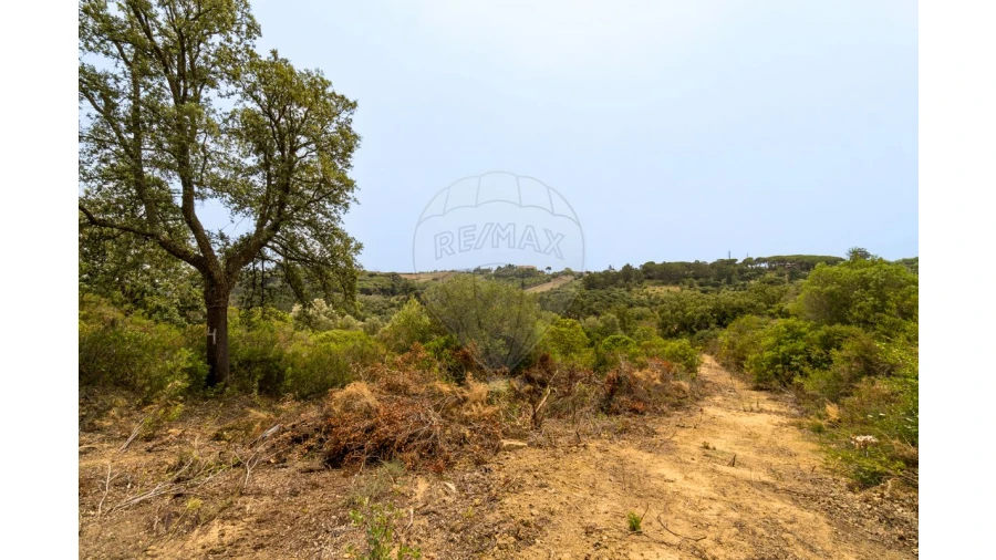 Quinta T0 para Venda em Vila Franca de Xira Foto 15