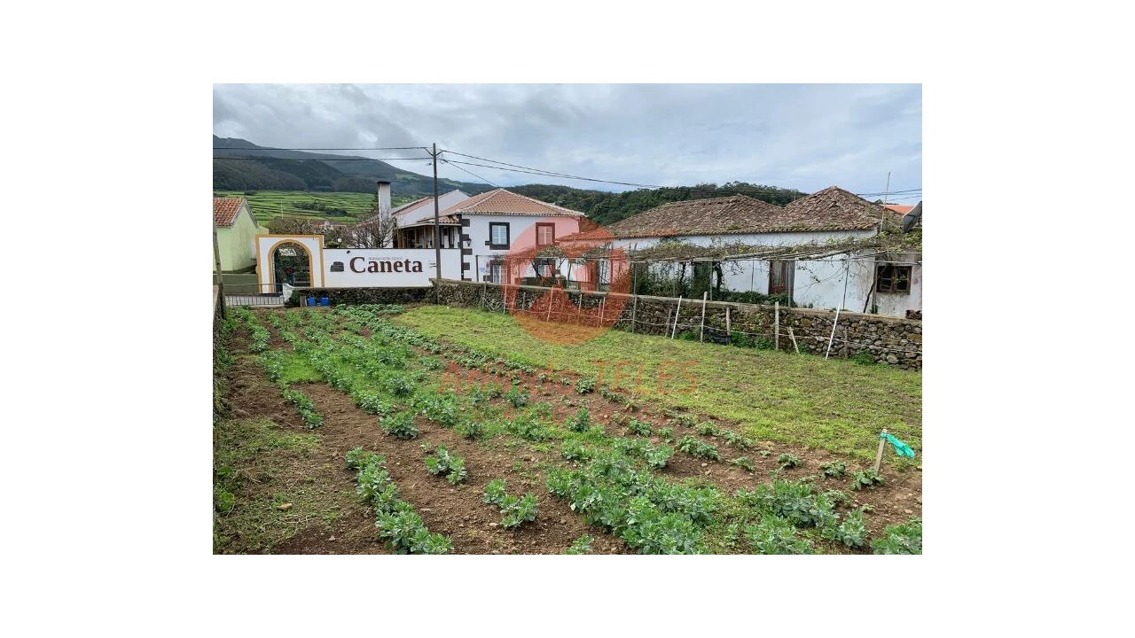 Terreno para Venda em Altares Foto 7