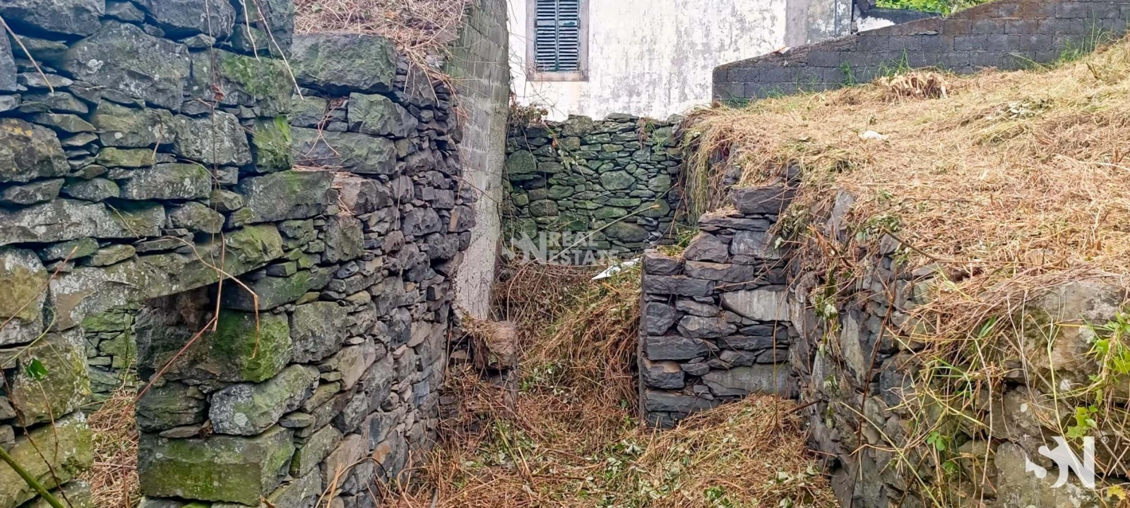 Terreno para Venda em Ribeira da Janela Foto 7