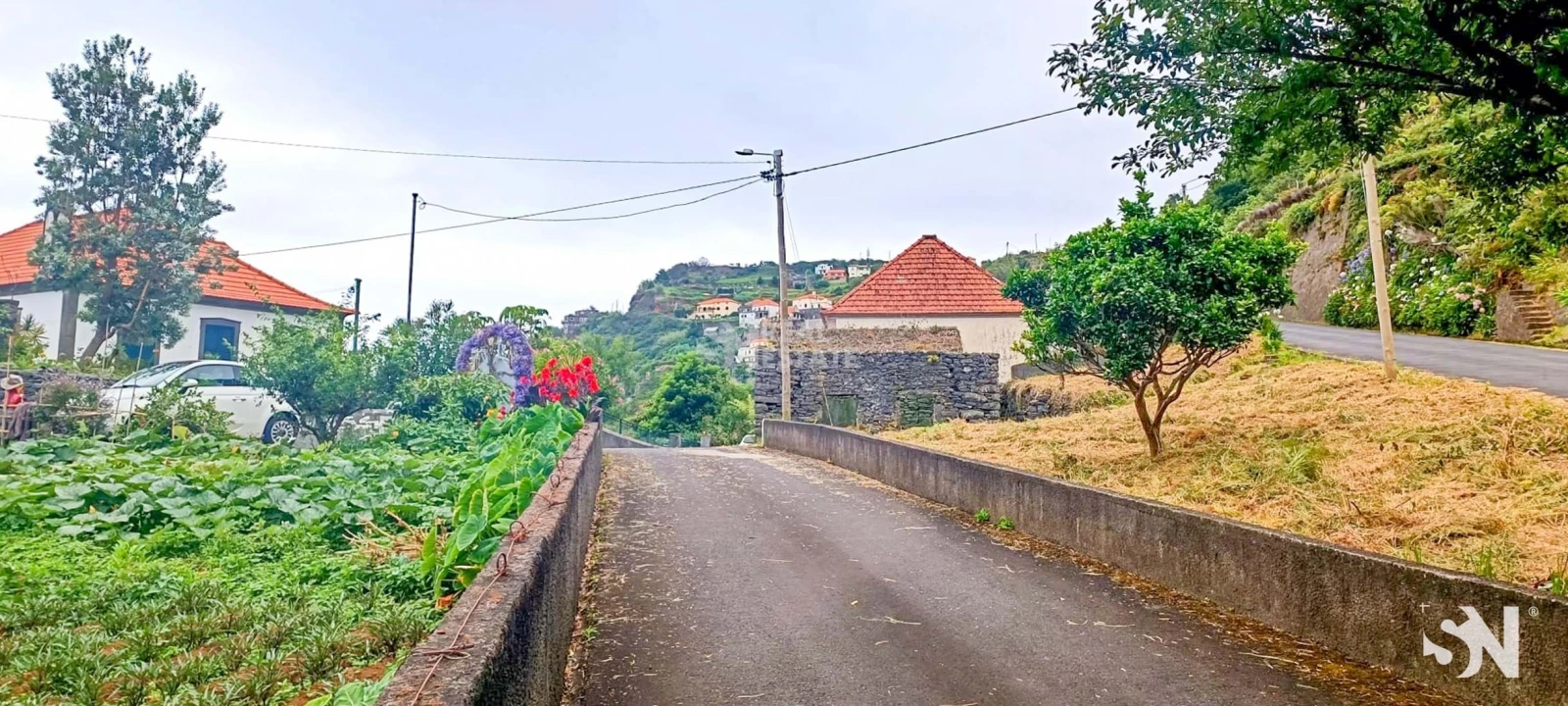 Terreno para Venda em Ribeira da Janela Foto 13