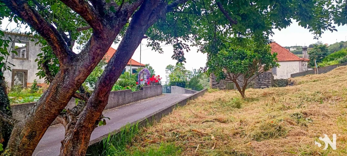 Terreno para Venda em Ribeira da Janela Foto 18