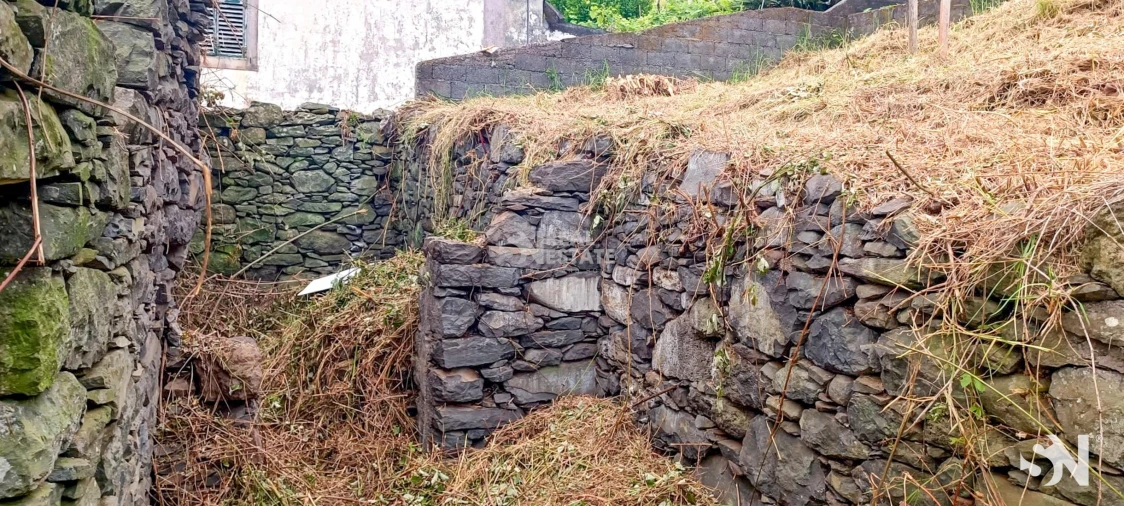 Terreno para Venda em Ribeira da Janela Foto 14