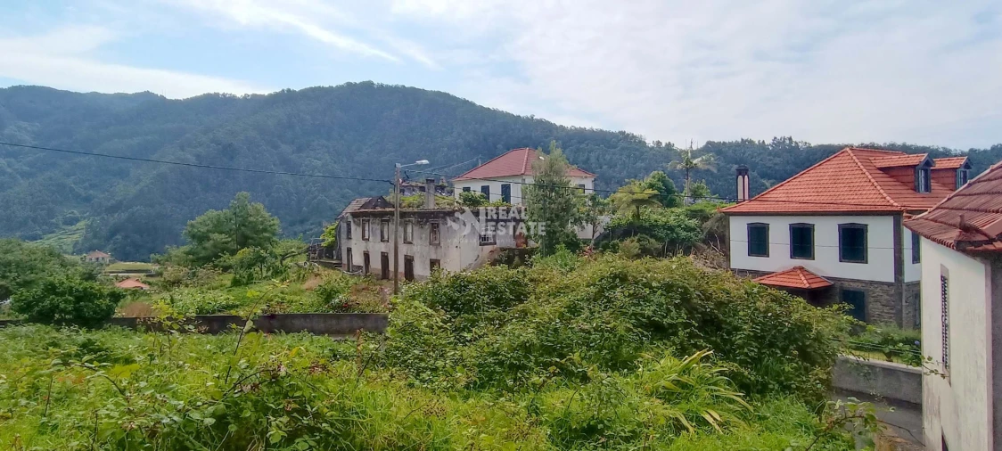 Terreno para Venda em Ribeira da Janela Foto 4