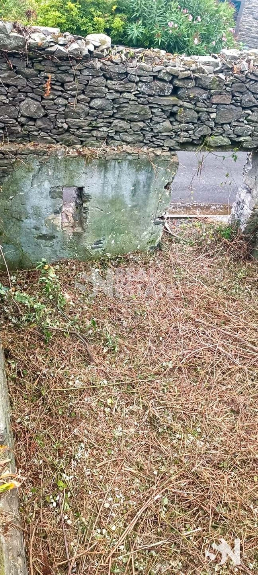 Terreno para Venda em Ribeira da Janela Foto 9