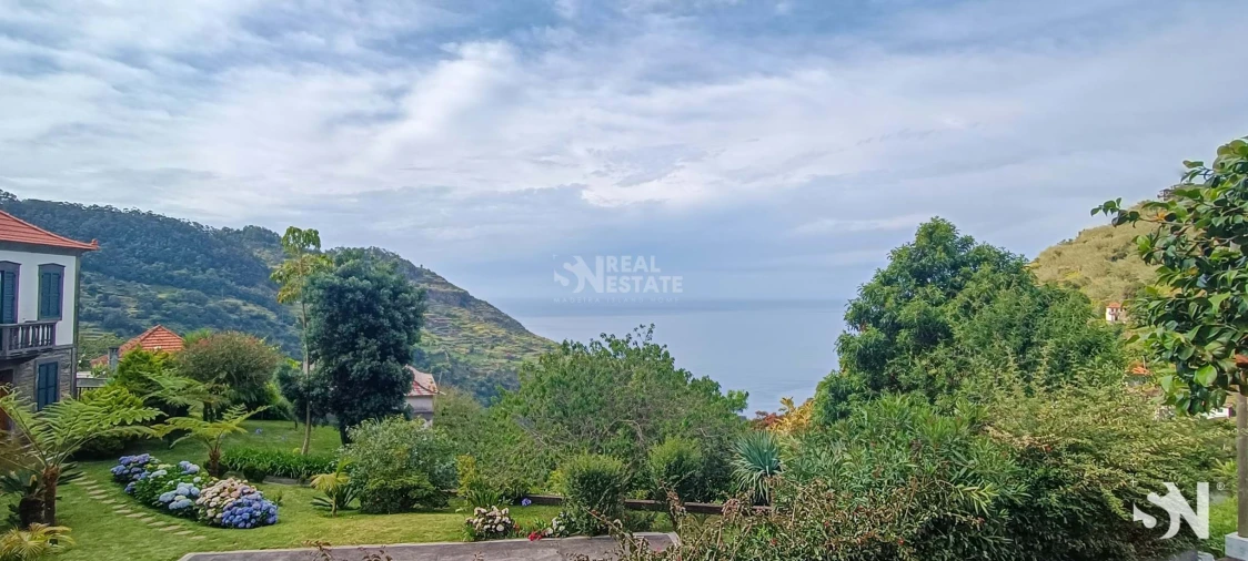 Terreno para Venda em Ribeira da Janela Foto 2