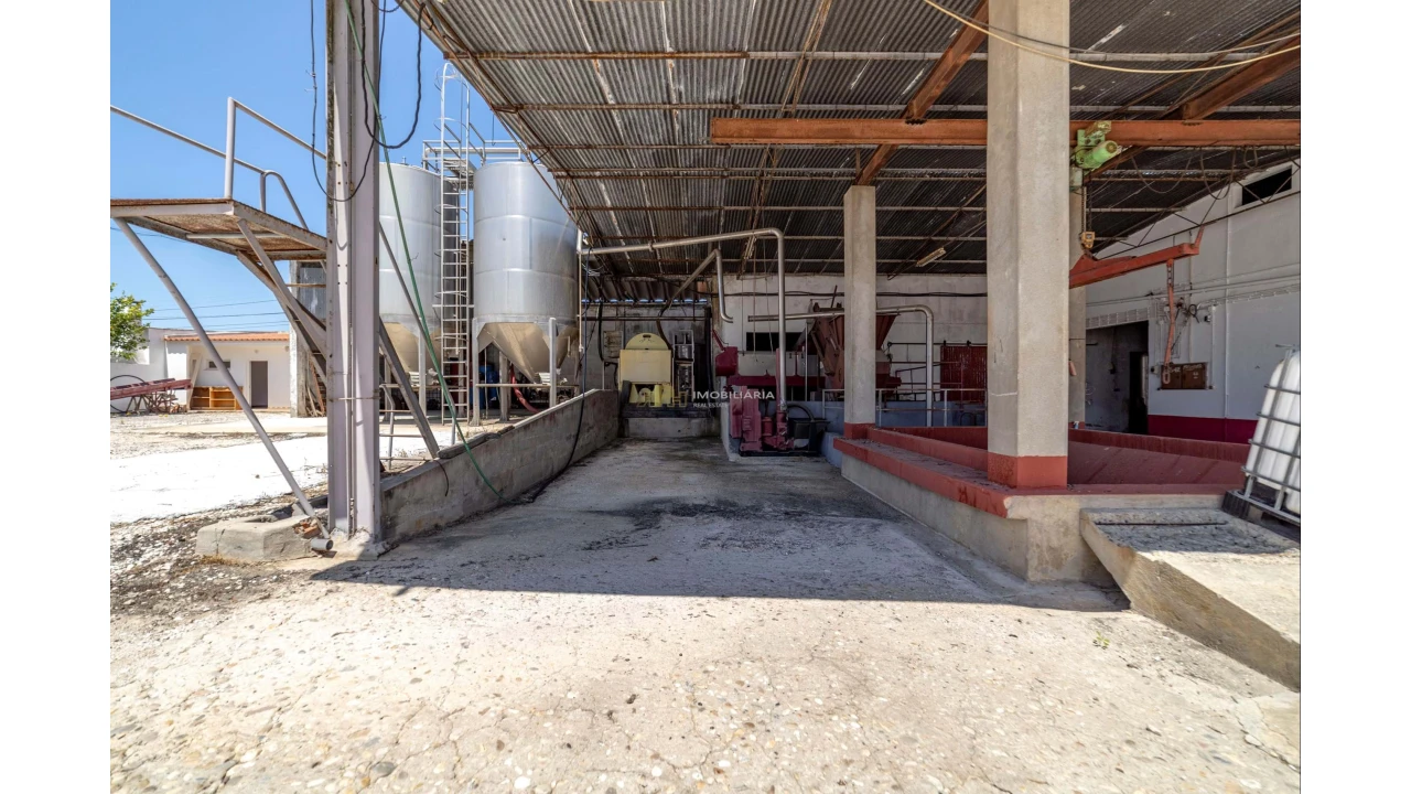 Armazém para Venda em Fazendas de Almeirim Foto 22