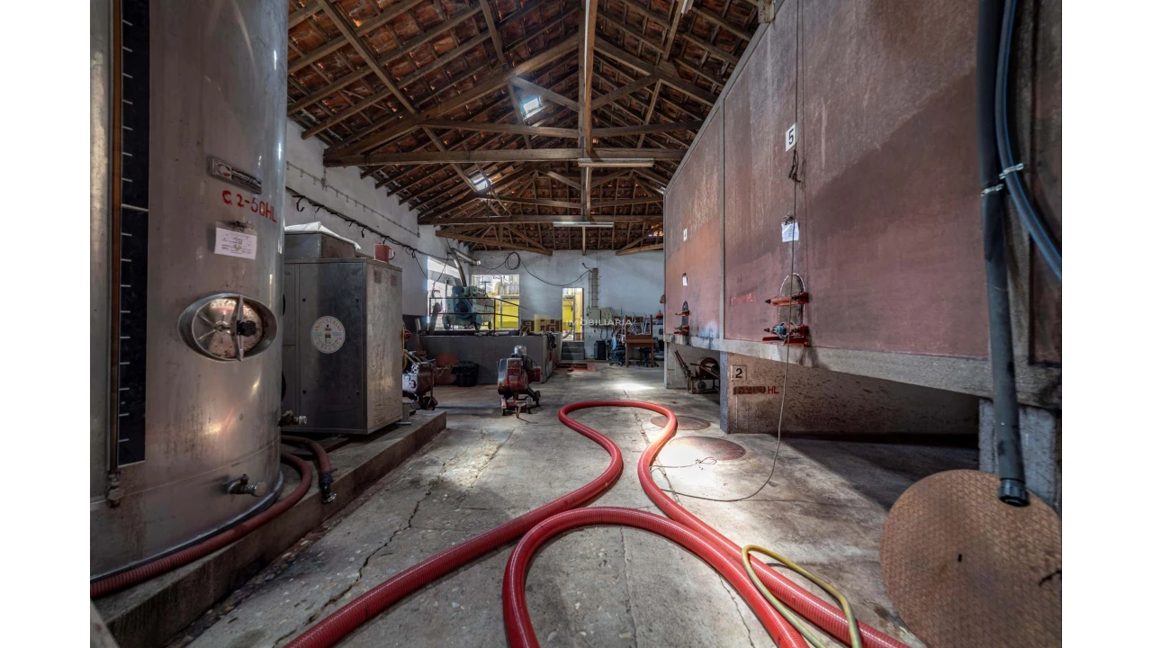 Armazém para Venda em Fazendas de Almeirim Foto 34