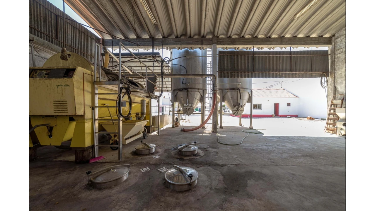 Armazém para Venda em Fazendas de Almeirim Foto 19