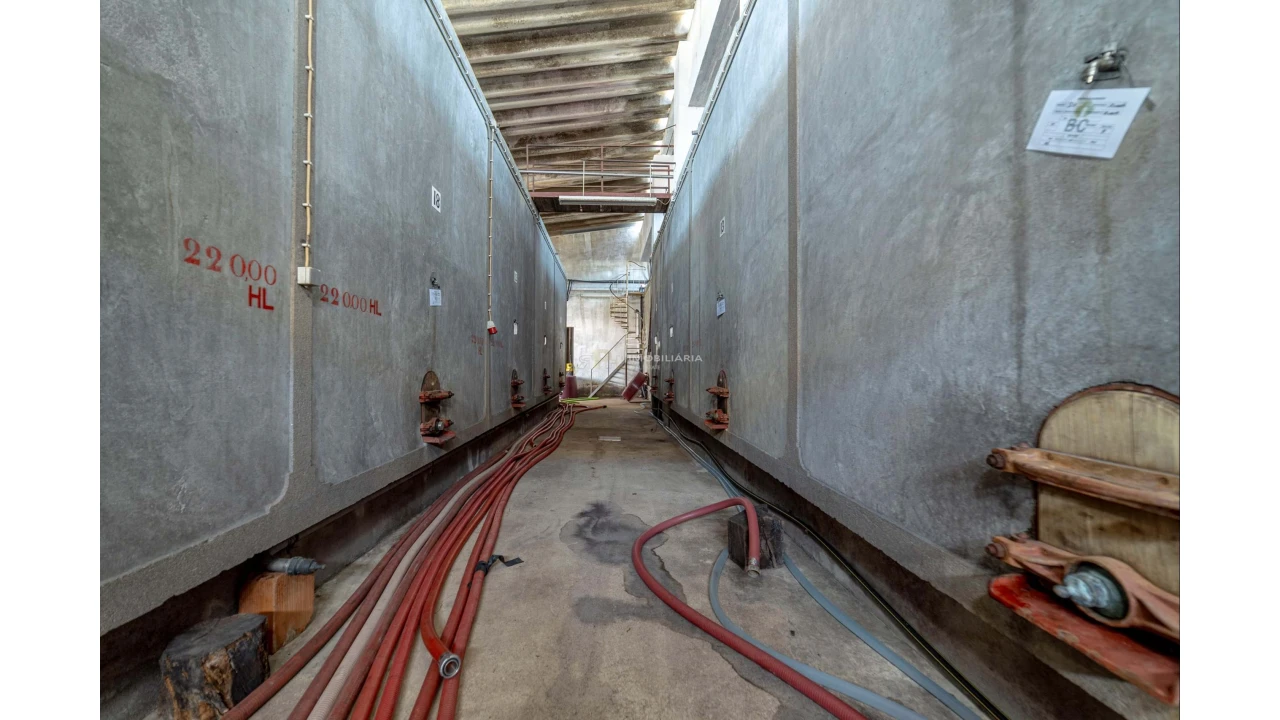 Armazém para Venda em Fazendas de Almeirim Foto 3