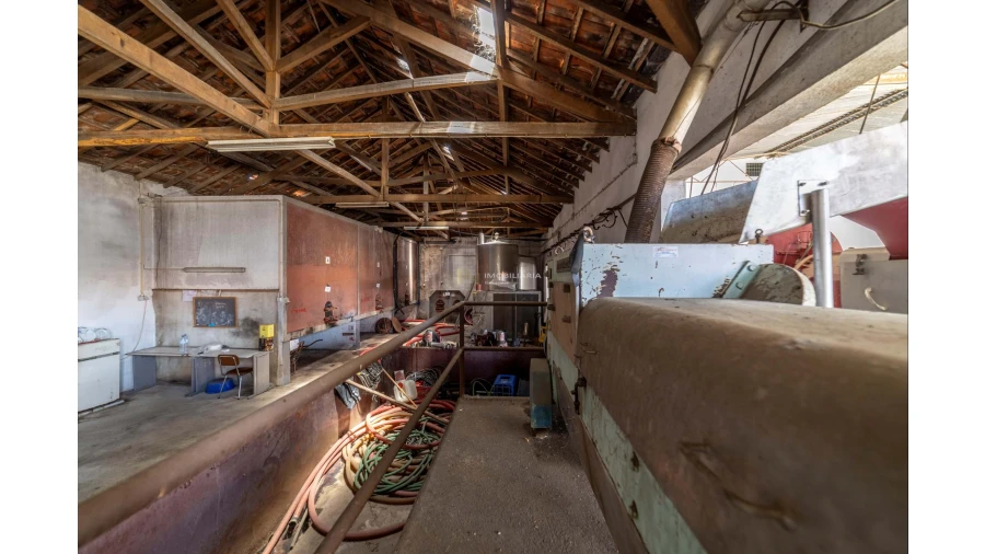 Armazém para Venda em Fazendas de Almeirim Foto 40