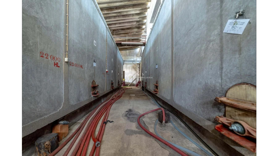 Armazém para Venda em Fazendas de Almeirim Foto 3