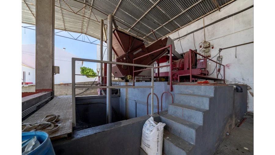Armazém para Venda em Fazendas de Almeirim Foto 26
