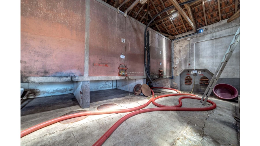 Armazém para Venda em Fazendas de Almeirim Foto 33