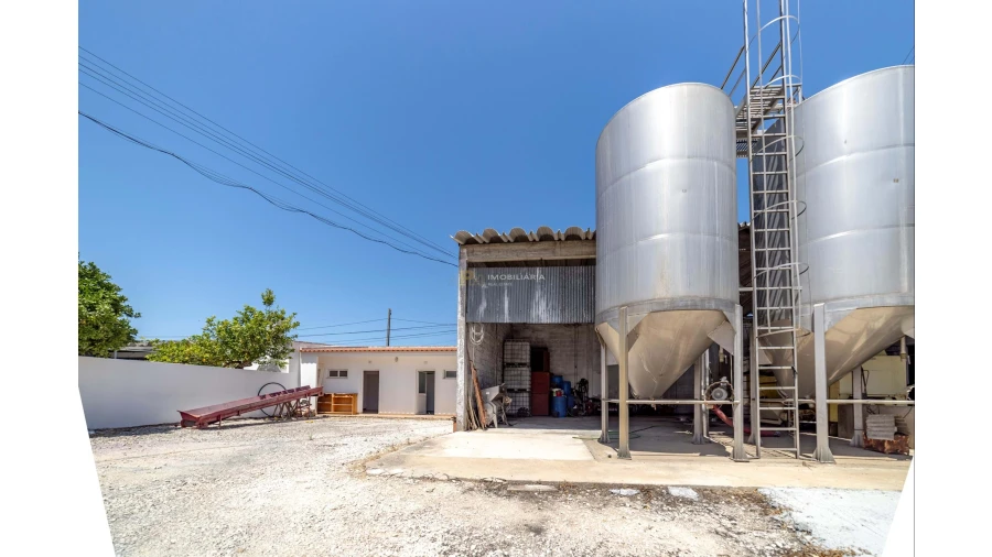 Armazém para Venda em Fazendas de Almeirim Foto 20