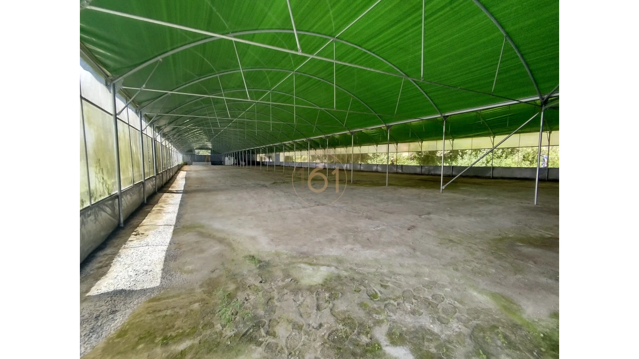 Terreno para Venda em Soalhães Foto 6