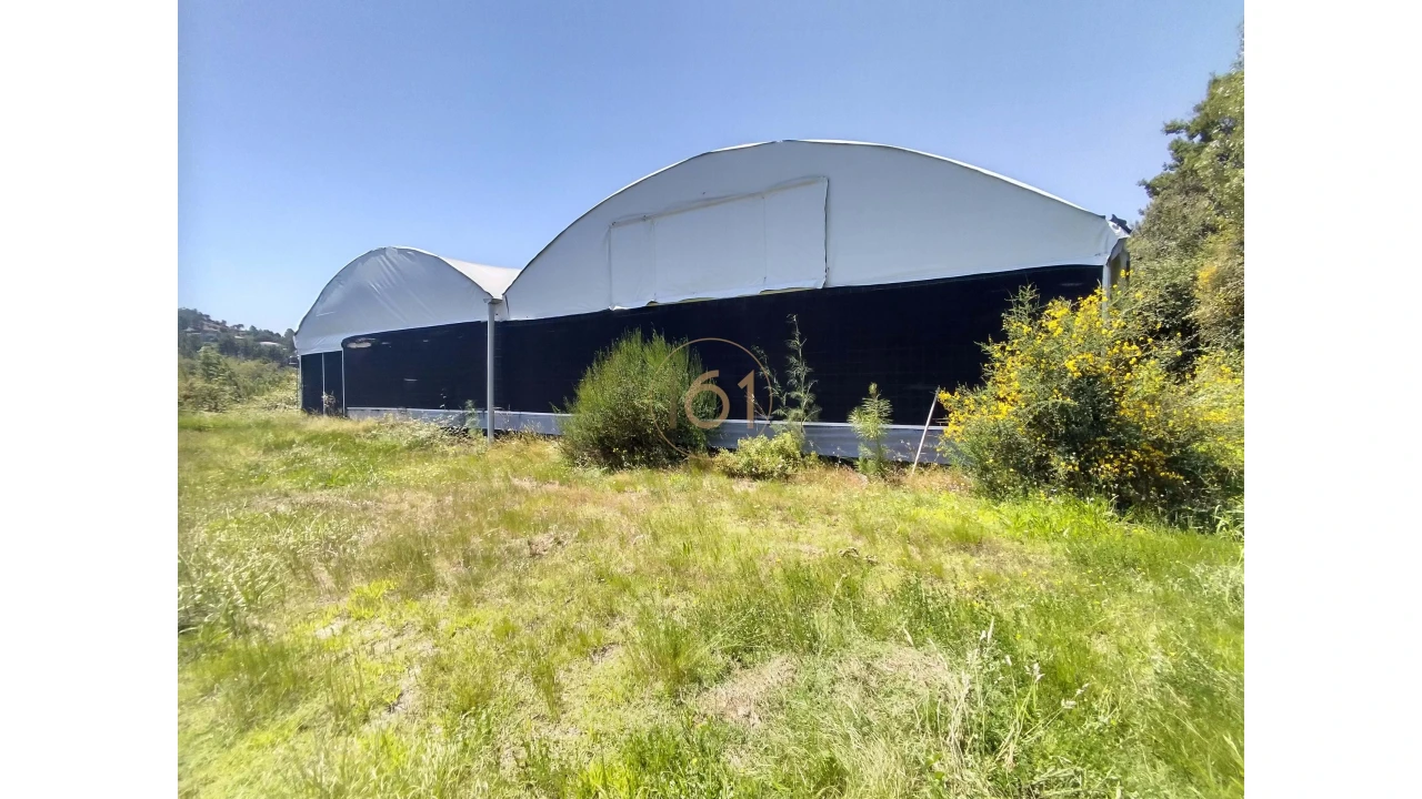 Terreno para Venda em Soalhães Foto 2