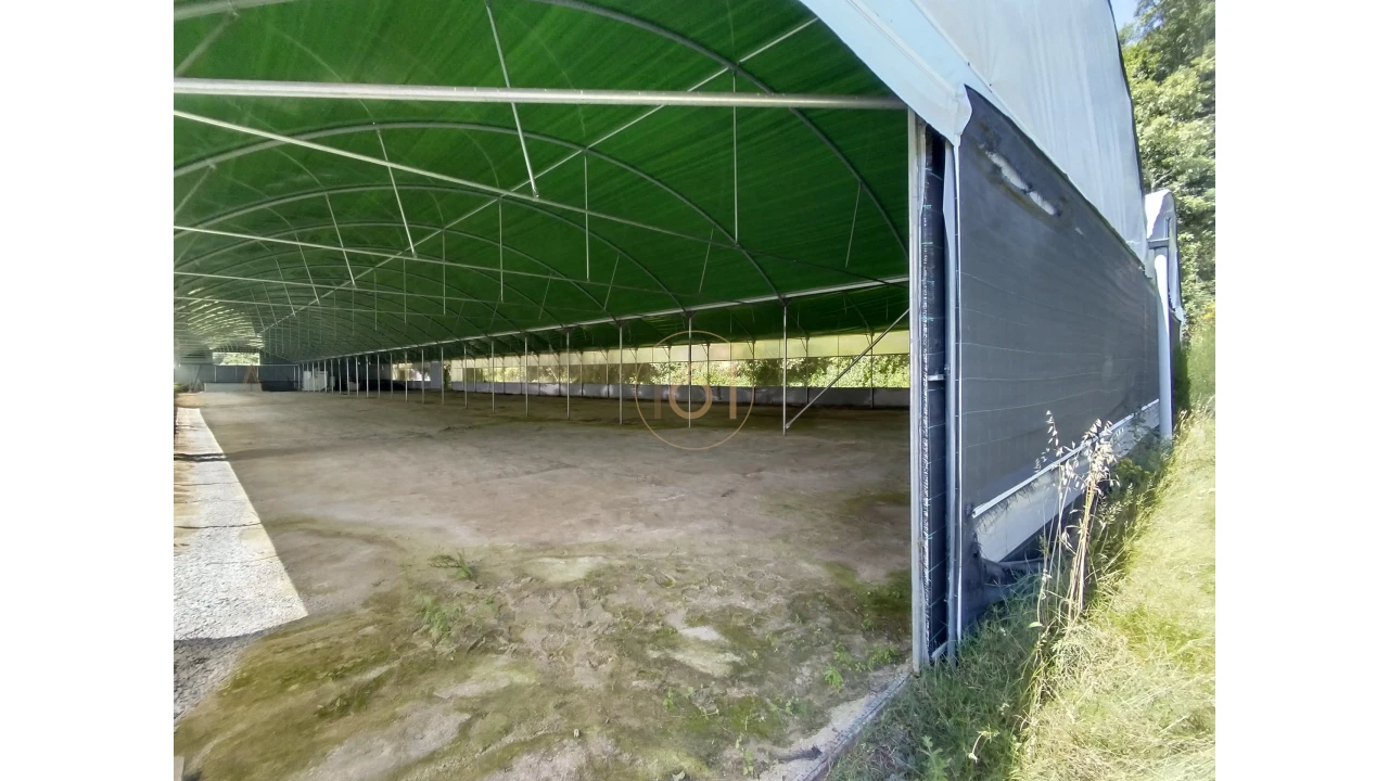 Terreno para Venda em Soalhães Foto 3