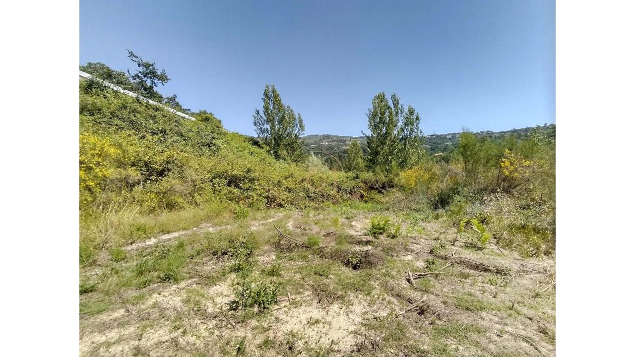 Terreno para Venda em Soalhães Foto 17