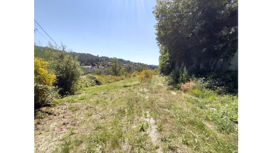 Terreno para Venda em Soalhães Foto 23