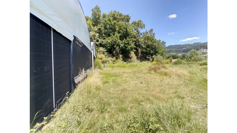 Terreno para Venda em Soalhães Foto 5