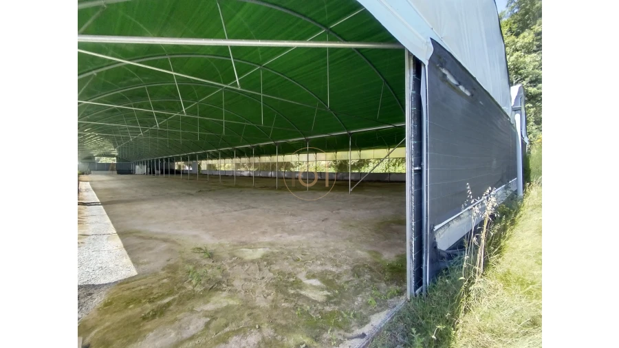 Terreno para Venda em Soalhães Foto 3