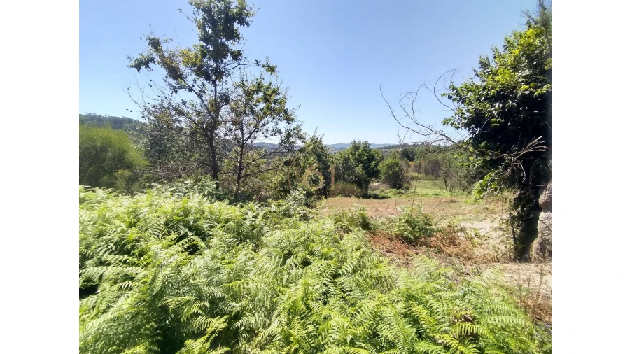 Terreno para Venda em Soalhães Foto 14