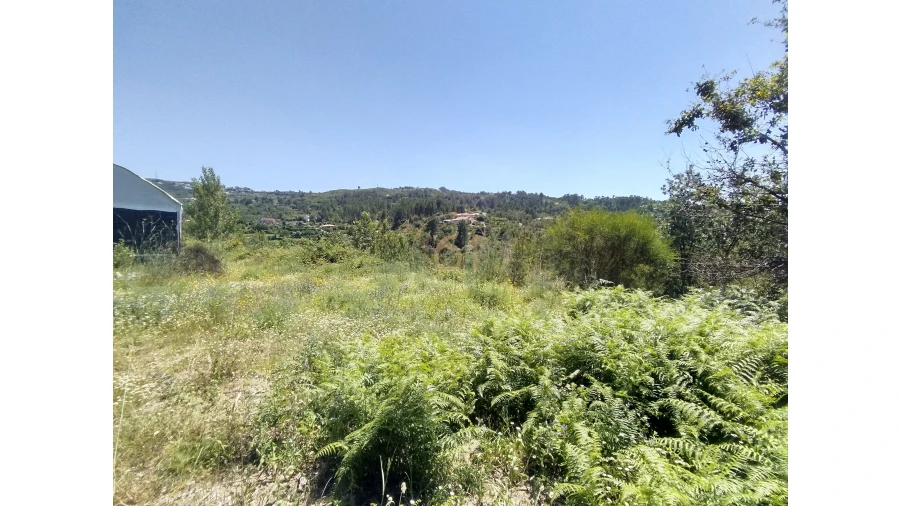 Terreno para Venda em Soalhães Foto 15