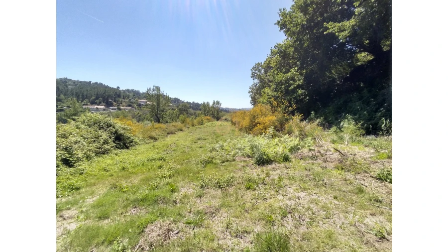 Terreno para Venda em Soalhães Foto 21