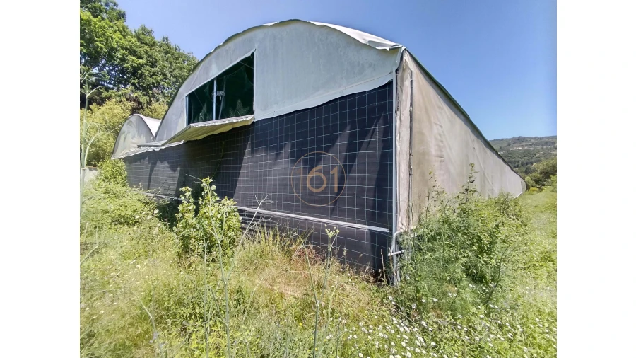 Terreno para Venda em Soalhães Foto 18