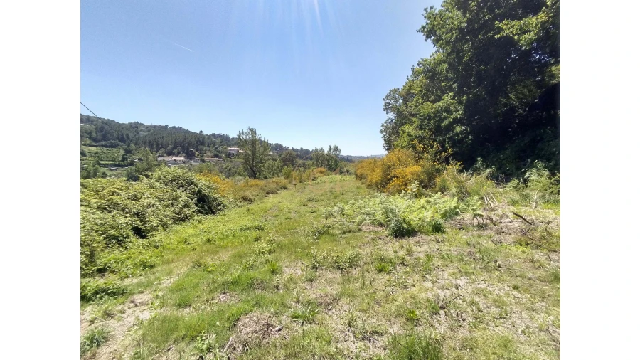 Terreno para Venda em Soalhães Foto 22